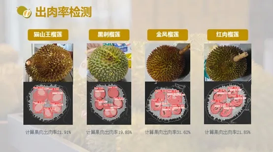 生长AI管理、分拣不再开“盲盒”马来西亚榴莲用上中国扫描技术(图3)